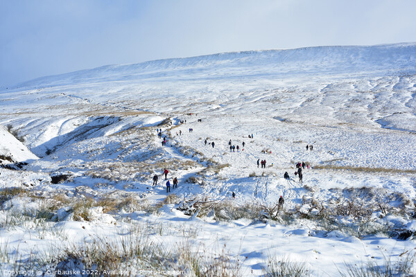 Walking up Pen Y Fan in the snow, Brecon Beacons Picture Board by  Garbauske