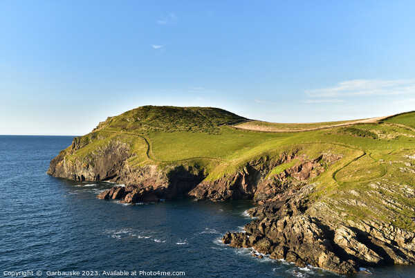 The cliffs on the Port Quin headland, North Cornwa Picture Board by  Garbauske