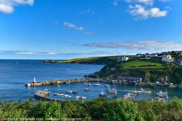 A view on Mevagissey Harbour, Cornwall  Picture Board by  Garbauske