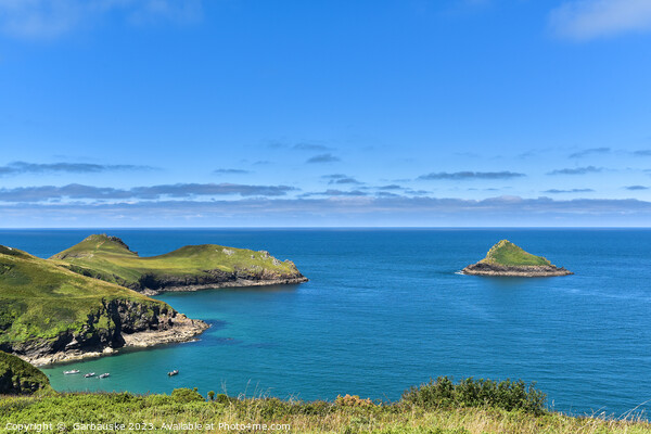 The Mouls near to the Rumps, Cornwall Picture Board by  Garbauske