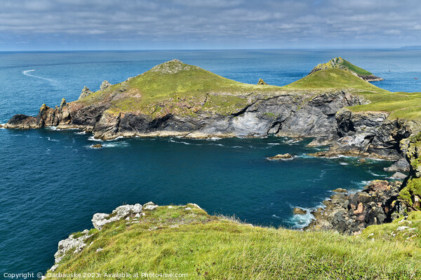 The Rumps, Pentire head, Cornwall Picture Board by  Garbauske