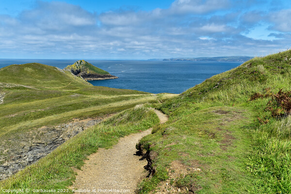A walking path Pentire coast Cornwall Picture Board by  Garbauske