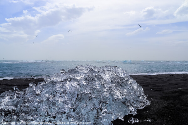 Diamond Beach in Iceland with blue icebergs melting on black san Picture Board by Michael Piepgras