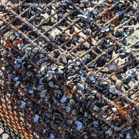 Buy canvas prints of Rusty and damaged shopping cart found in the port of Kiel in Ger by Michael Piepgras