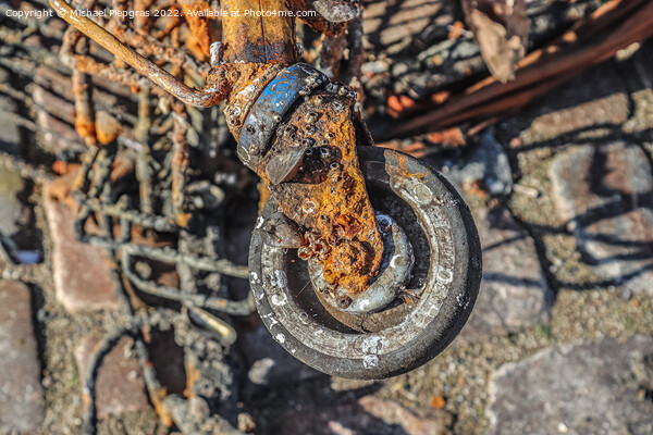 Rusty and damaged shopping cart found in the port of Kiel in Ger Picture Board by Michael Piepgras