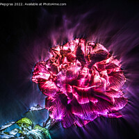 Buy canvas prints of 3D-Illustration of spring flowers with a high energy kirlian fie by Michael Piepgras