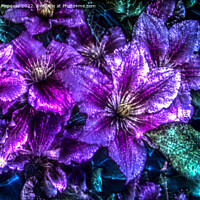 Buy canvas prints of 3D-Illustration of spring flowers with a high energy kirlian fie by Michael Piepgras