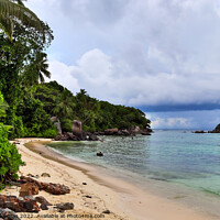 Buy canvas prints of Sunny day beach view on the paradise islands Seychelles by Michael Piepgras