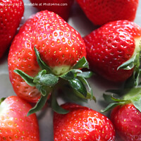 Buy canvas prints of Close up on natural background of red strawberries ready for eat by Michael Piepgras