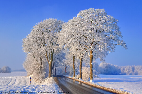 View of a snow-covered country road in winter with sunshine and  Picture Board by Michael Piepgras