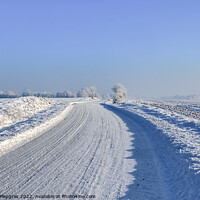 Buy canvas prints of View of a snow-covered country road in winter with sunshine and  by Michael Piepgras
