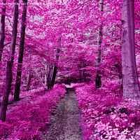 Buy canvas prints of Colorful fantasy landscape in an asian purple infrared photo sty by Michael Piepgras