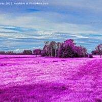 Buy canvas prints of Colorful fantasy landscape in an asian purple infrared photo sty by Michael Piepgras