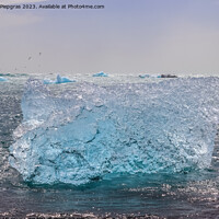 Buy canvas prints of Diamond Beach in Iceland with blue icebergs melting on black san by Michael Piepgras