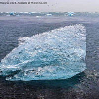 Buy canvas prints of Diamond Beach in Iceland with blue icebergs melting on black san by Michael Piepgras