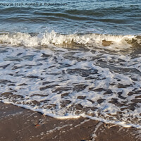 Buy canvas prints of Beautiful view on sandy beaches at the baltic sea on a sunny day by Michael Piepgras