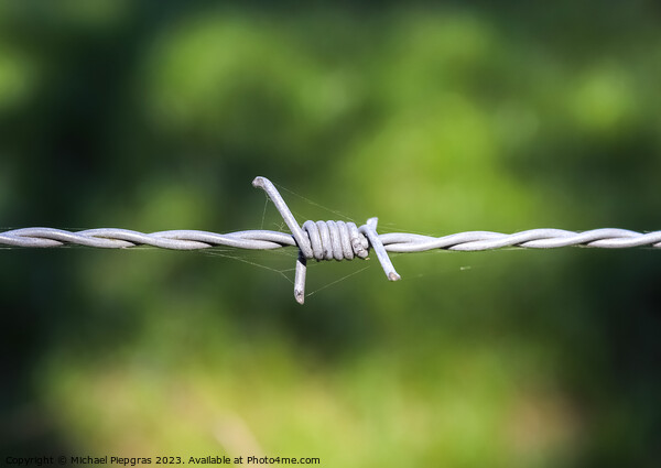 Barbed wire on with a soft focus bokeh in the background. Picture Board by Michael Piepgras