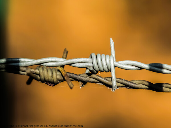 Barbed wire on with a soft focus bokeh in the background. Picture Board by Michael Piepgras
