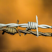 Buy canvas prints of Barbed wire on with a soft focus bokeh in the background. by Michael Piepgras