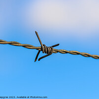 Buy canvas prints of Barbed wire on with a soft focus bokeh in the background. by Michael Piepgras