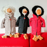 Buy canvas prints of Three geese stuffed animals with weatherproof jackets by Michael Piepgras