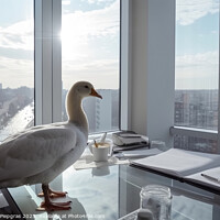 Buy canvas prints of A goose with white feathers works hard at a desk in the office c by Michael Piepgras