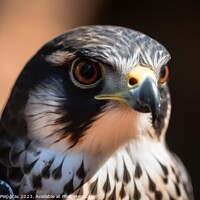 Buy canvas prints of A wild falcon in a close up view created with generative AI tech by Michael Piepgras