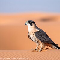 Buy canvas prints of A wild falcon in a close up view created with generative AI tech by Michael Piepgras