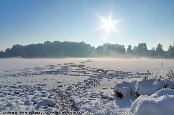 Beautiful winter shot at a lake and forest with snow and ice. Picture Board by Michael Piepgras