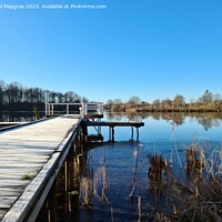Buy canvas prints of Beautiful landscape on a jetty by a lake with blue sky. by Michael Piepgras