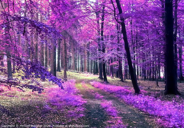 Beautiful pink and purple infrared panorama view into a forest l Picture Board by Michael Piepgras