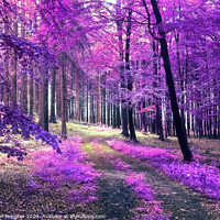 Buy canvas prints of Beautiful pink and purple infrared panorama view into a forest l by Michael Piepgras