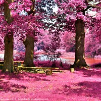 Buy canvas prints of Beautiful pink and purple infrared panorama of a countryside lan by Michael Piepgras