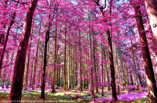 Beautiful pink and purple infrared panorama of a countryside lan Picture Board by Michael Piepgras