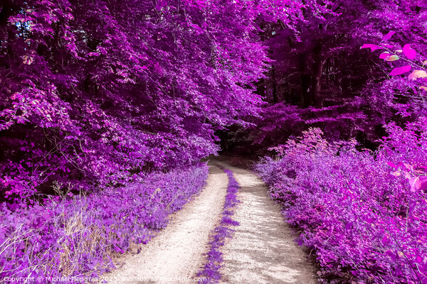 Beautiful pink and purple infrared panorama of a forest. Picture Board by Michael Piepgras