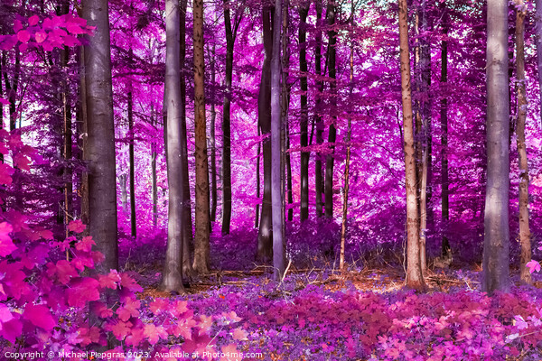 Beautiful pink and purple infrared panorama of a forest. Picture Board by Michael Piepgras