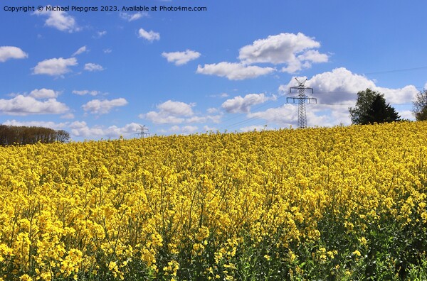 Yellow field of flowering rape and tree against a blue sky with  Picture Board by Michael Piepgras