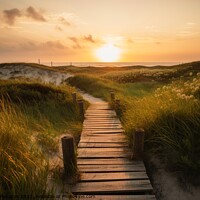 Buy canvas prints of A wooden path to the ocean beach past tall grass during sunset c by Michael Piepgras
