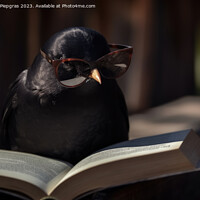 Buy canvas prints of A blackbird wearing sunglasses and reading a book created with g by Michael Piepgras