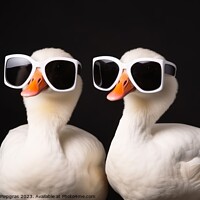 Buy canvas prints of Two cool goose wearing sunglasses created with generative AI tec by Michael Piepgras