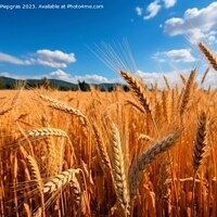 Buy canvas prints of A field of ripe wheat against the blue sky created with generati by Michael Piepgras