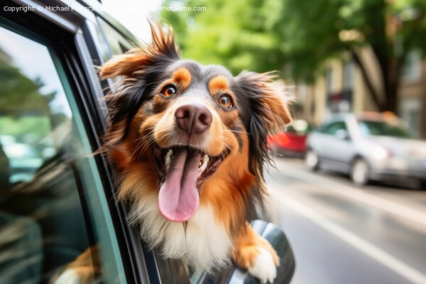 A funny dog out of a car window created with generative AI techn Picture Board by Michael Piepgras