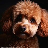 Buy canvas prints of Portrait of a cute poodle dog created with generative AI technol by Michael Piepgras