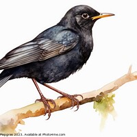 Buy canvas prints of Watercolor Blackbird on a white background created with generati by Michael Piepgras