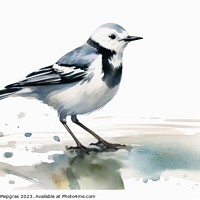 Buy canvas prints of Watercolor wagtail on a white background created with generative by Michael Piepgras