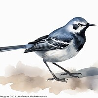 Buy canvas prints of Watercolor wagtail on a white background created with generative by Michael Piepgras