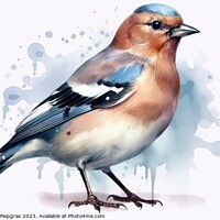 Buy canvas prints of Watercolor chaffinch on a white background created with generati by Michael Piepgras