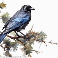 Buy canvas prints of Watercolor jackdaw on a white background created with generative by Michael Piepgras