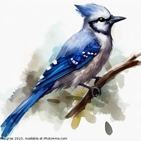 Buy canvas prints of Watercolor painted jay bird on a white background. by Michael Piepgras
