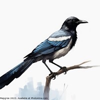 Buy canvas prints of Watercolor painted magpie on a white background. by Michael Piepgras